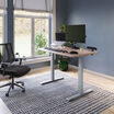 Electric Standing Desk with ComfortEdge in 48x30 Light Wood Silver in raised position at home